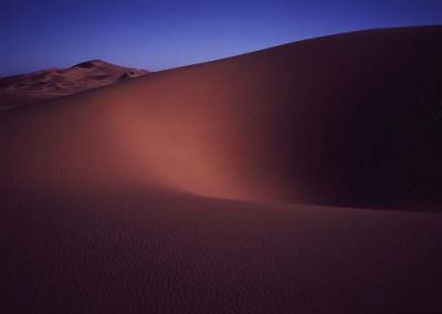 砂丘を求めて    Sahara desert in Libya
