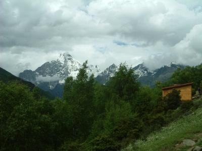 高山植物を求めて