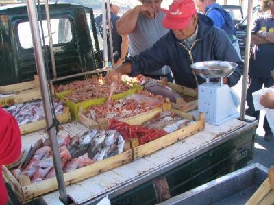 地球の島めぐり−28島目イタリア・ファヴィニャーナ島・港の魚市場