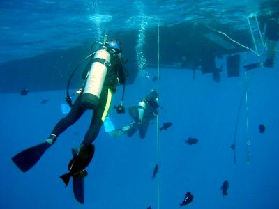 マウイ島 ダイビング に関する旅行記 ブログ フォートラベル ハワイ Maui Island