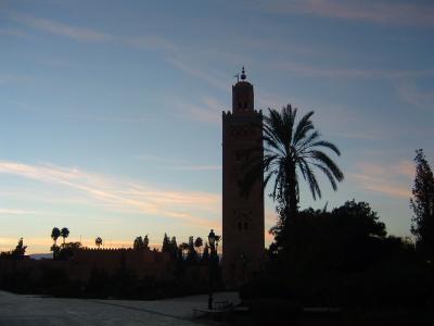 揺れる蛇使いあるいは緑のシャンプー