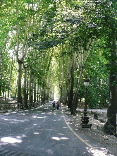 イランの旅【４】　イランの歴史文化を集約する多くの博物館を持つ首都　テヘラン