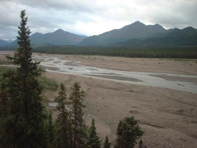 夏のアラスカ。デナリ国立公園への小さな旅。