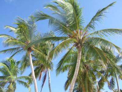 ヴィルリーフ　その３　（おまけ）