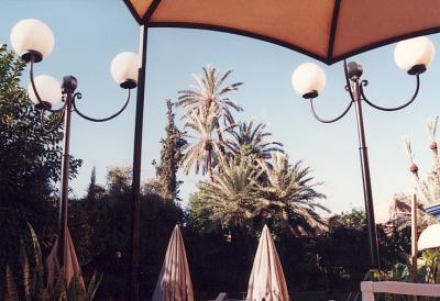 マジョレル庭園   Jardin Majorelie in Marrakech, Maroc