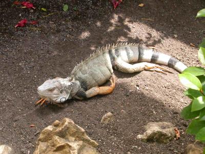アジア美術館と熱帯公園