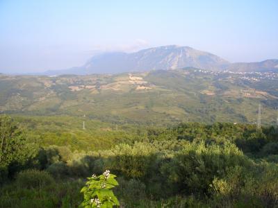 2005　南イタリア　食の旅（１３）