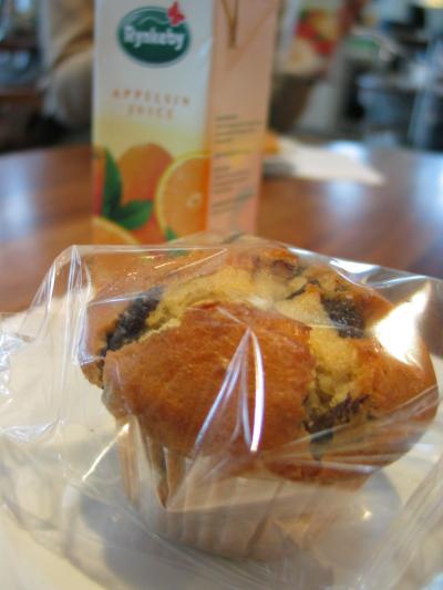 地球を感じる旅～帰国編～