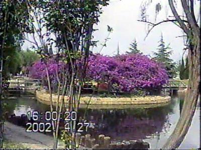 中国・雲南省の旅【２】　「少数民族の宝庫」雲南省の省都　昆明