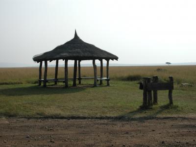 ★ケニア★　マサイマラ