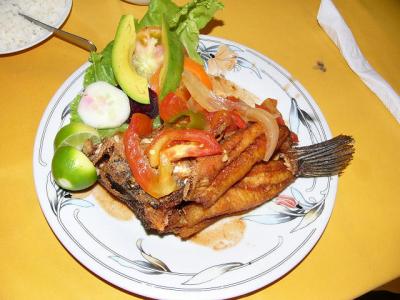 Nicaragua  ニカラグアって面白い(4/16)　ガポーテを食べにグラナダ(Granada)ヘ