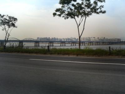 ソウル!バクチ!床屋!?