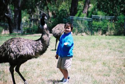 Cleland Wildlife Park