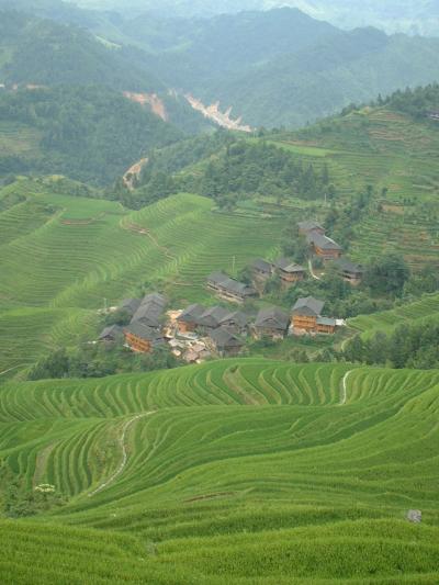 金坑梯田（大寨）―夏の景色