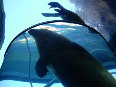 夏の北海道 2005 ? 旭山動物園その二