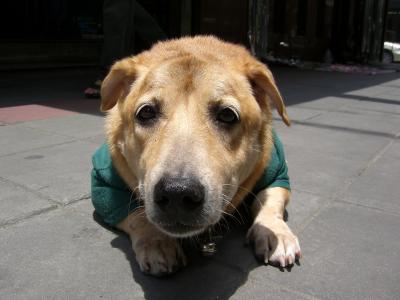 ■(1/3)初バンコク・美味しくってかわいい買い物三昧の旅■