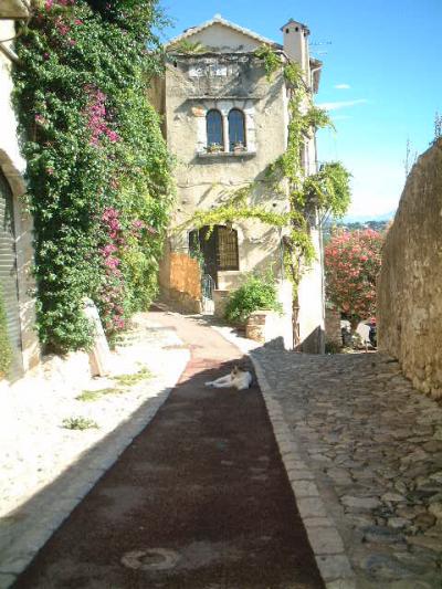 「フランスで最も美しい村」を訪ねて(動物編)