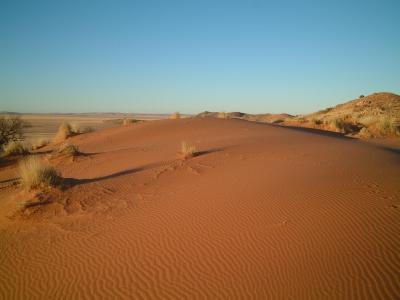 砂漠の中で砂まみれ・・・