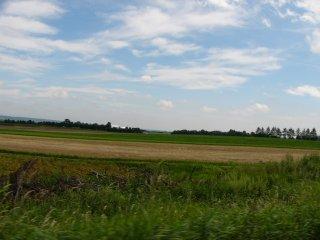 夏の道東2005その1