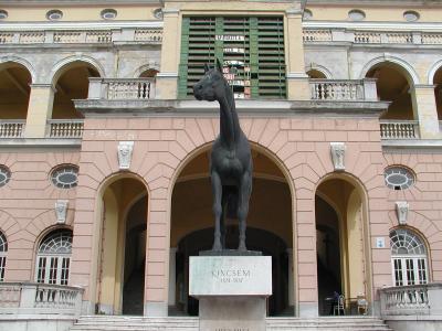 伝説の名馬キンチェムを追って～ハンガリー競馬観戦記