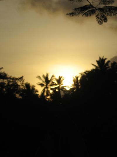Bali2005 悠々16　 ライステラス(棚田） テガララン　☆里山・田園の風景を眺め歩く