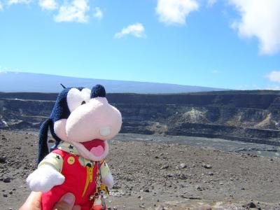 グーちゃん、ハワイに行く！！（ハワイ島編?）