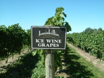 ナイアガラの滝?