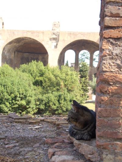 カルチャーショック集 イタリア編(変?)