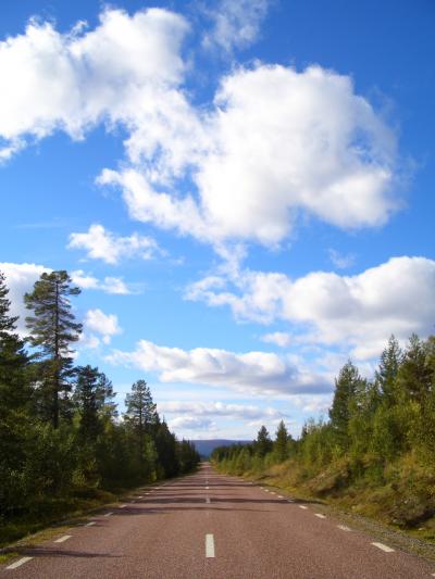 芝生の国スウェーデン?