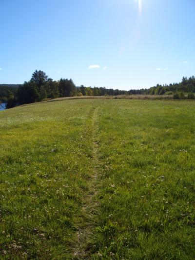 芝生の国スウェーデン?