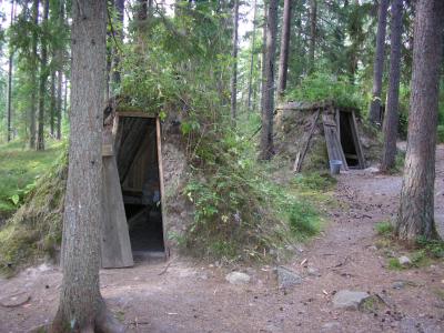 ヘラジカサファリ　moose safari in Kolarbyn
