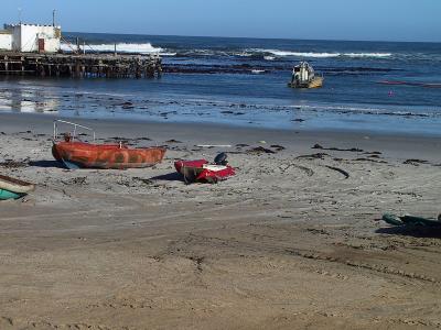  アフリカ南部旅行?南アフリカを南下