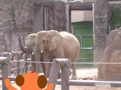多摩動物公園のおともだち