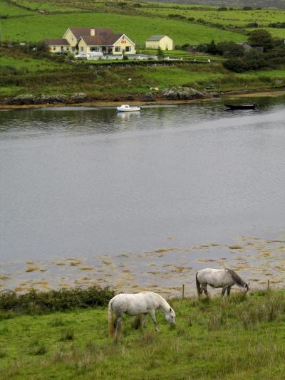 2004夏　アイルランド・スコットランド・イギリス湖水地方の旅１１（アイルランド・スカイロードとコネマラ国立公園編）