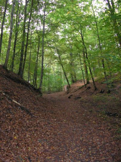 スコーネレーデン(Soderasen)Skaneleden ridge-ridge trail