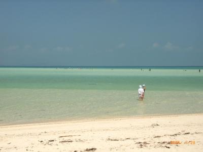 石垣島・波照間島・竹富島　４泊５日