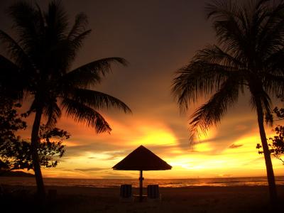 念願のボルネオへ！