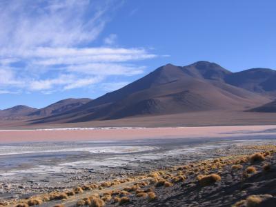 コンドルが飛んで行くの国へ