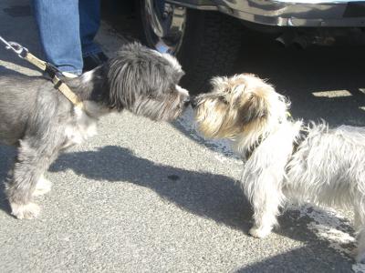 ●フランス~イタリア美食とcuginaに会う旅!(1/6)