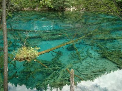 中国人３泊４日の九寨溝ツアーに紛れて行って来ました。