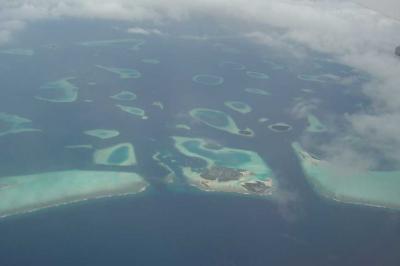 モルジブダイビングクルーズ