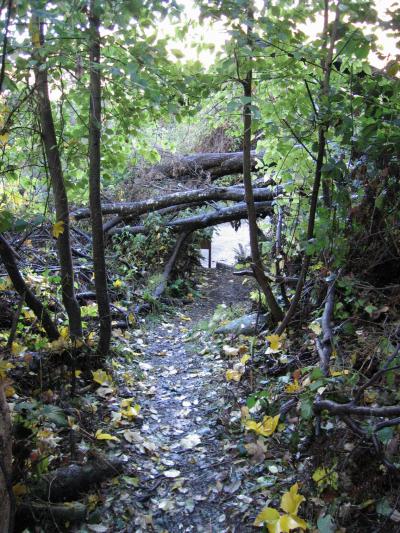 One Mile Creek Walkway