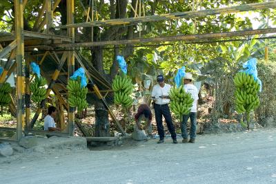 中米7カ国縦断?コパン遺跡