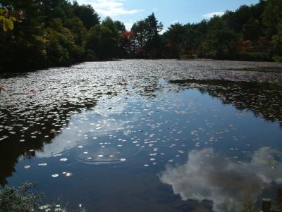 あき・アキ・食欲の秋