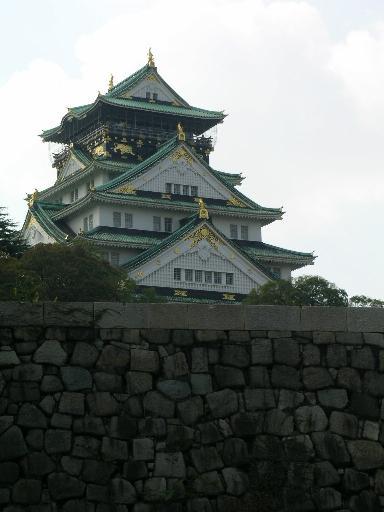 菊を見てきました