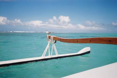 タヒチ・ボラボラ島2005～サメとエイの餌付け＆ピクニックツアー～