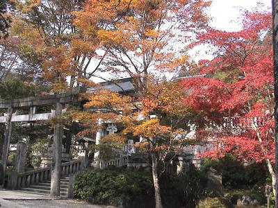 絵葉書（古城公園・伏木・市内） 文化遺産オンライン