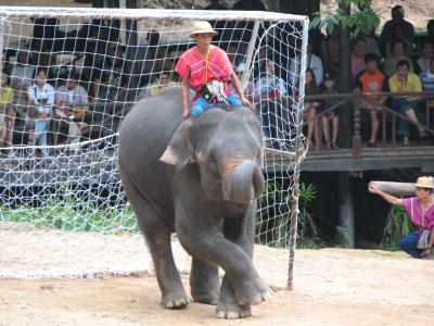 タイ・チェンマイ