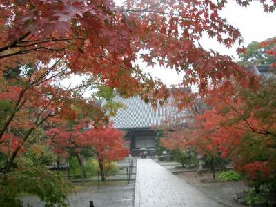 光明寺から山を登って金蔵寺まで紅葉を求めて