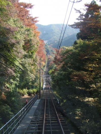 Mt Takao---高尾山へ紅葉狩り